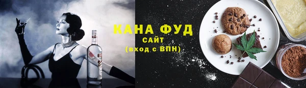 гидра Богородск