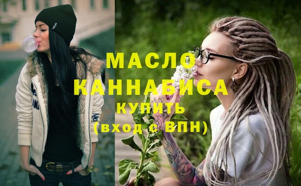 гидра Богородск