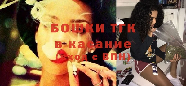 гидра Богородск